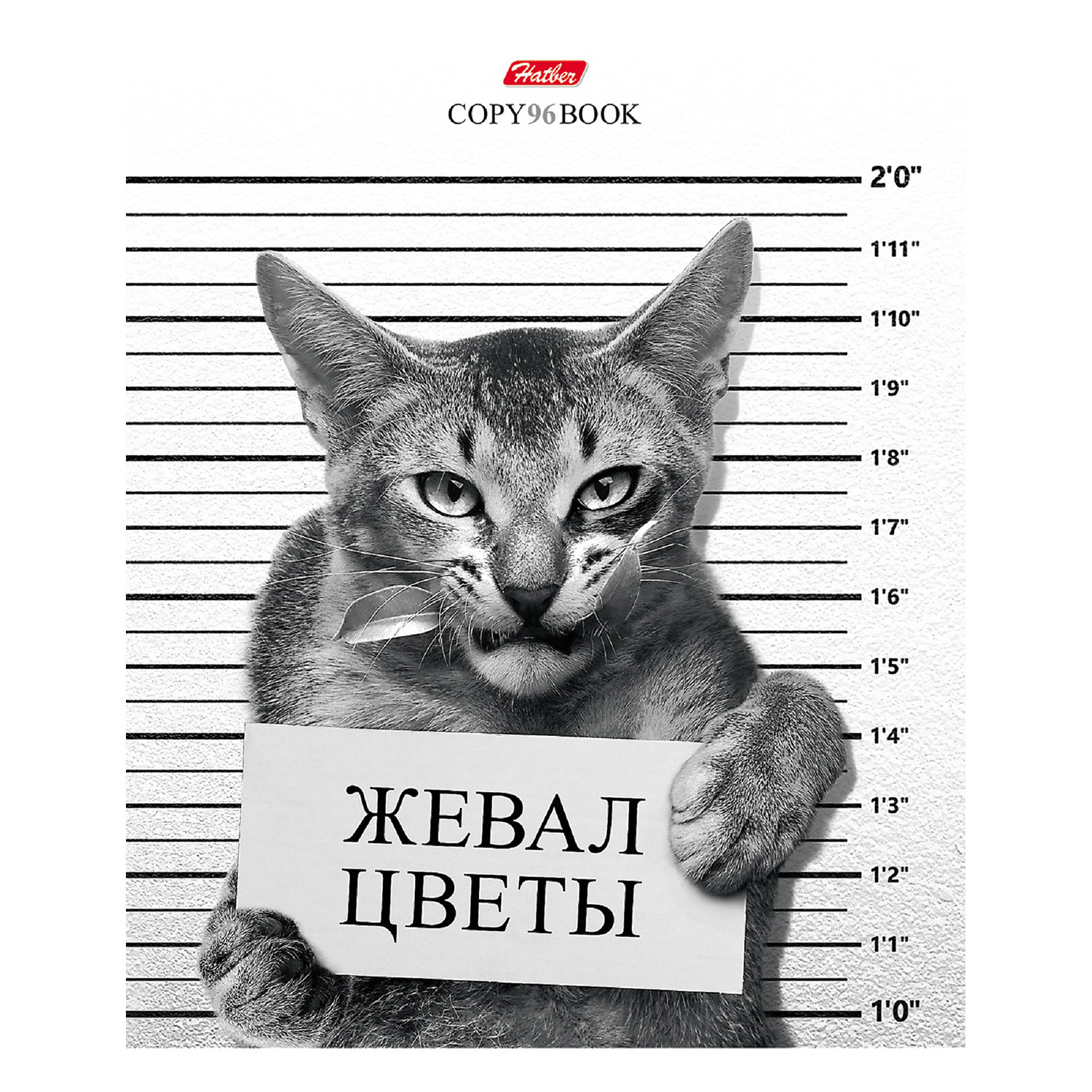 Общая тетрадь Hatber клетка 96 лист. в ассортименте - фото 5