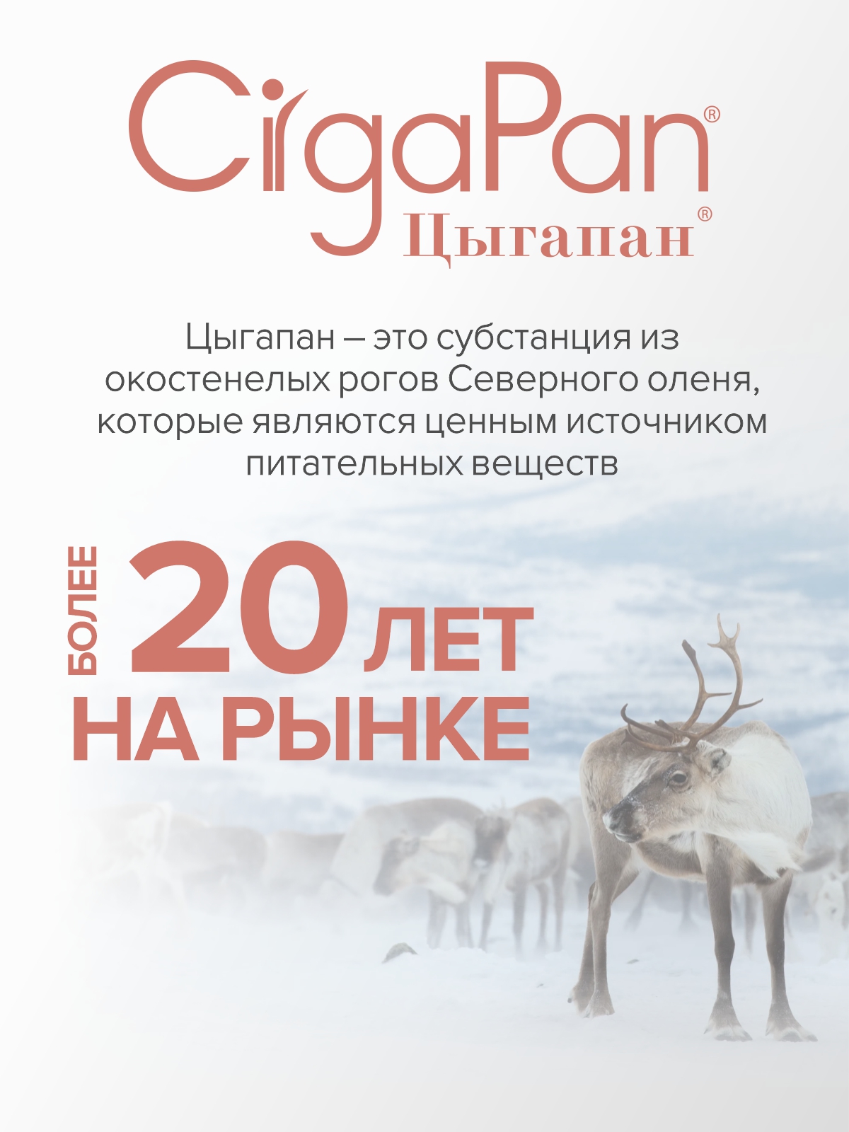 Витамины для женщин CigaPan Цыгапан 60 капсул 400 мг - фото 14