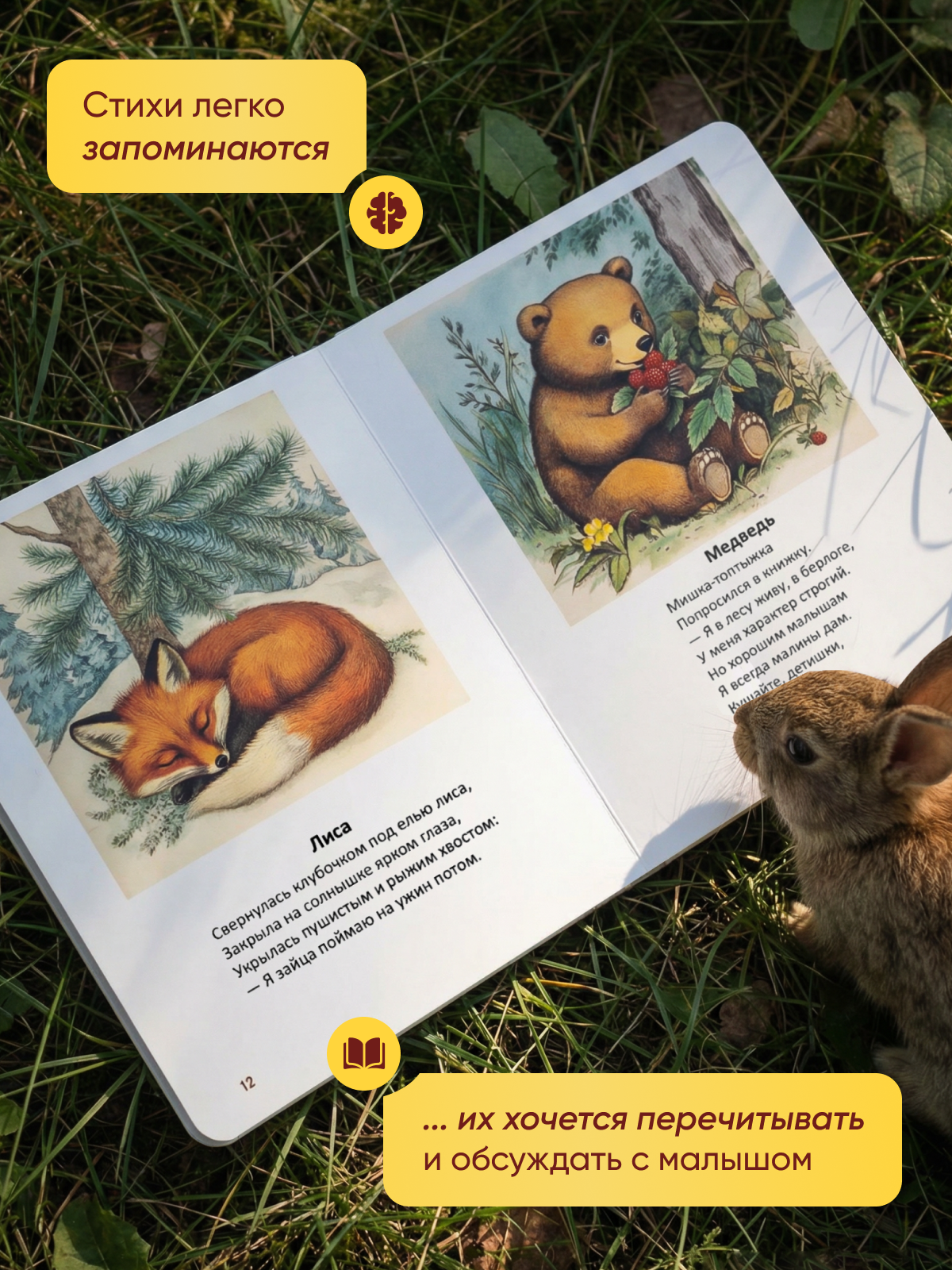 Картонная книга для малышей 1-3 года Расту по возрасту «Животные» - фото 4