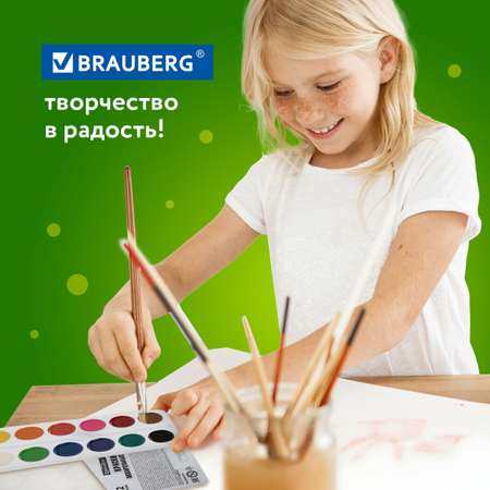Краски акварель Brauberg 12 цв.
