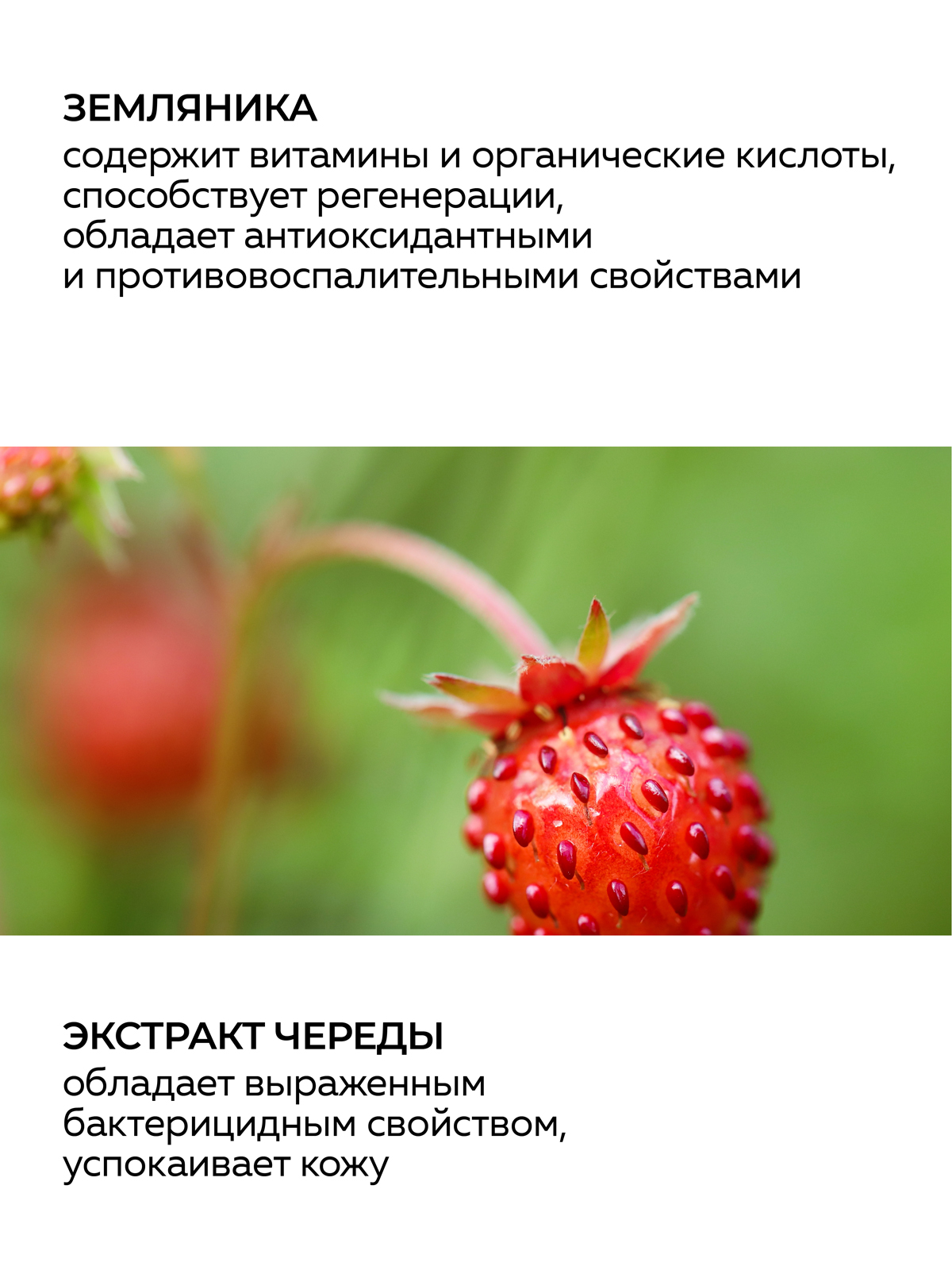 Тоник Green Mama для сухой и нормальной кожи 200 мл 1 шт. - фото 3