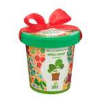 Набор для выращивания Happy Plant