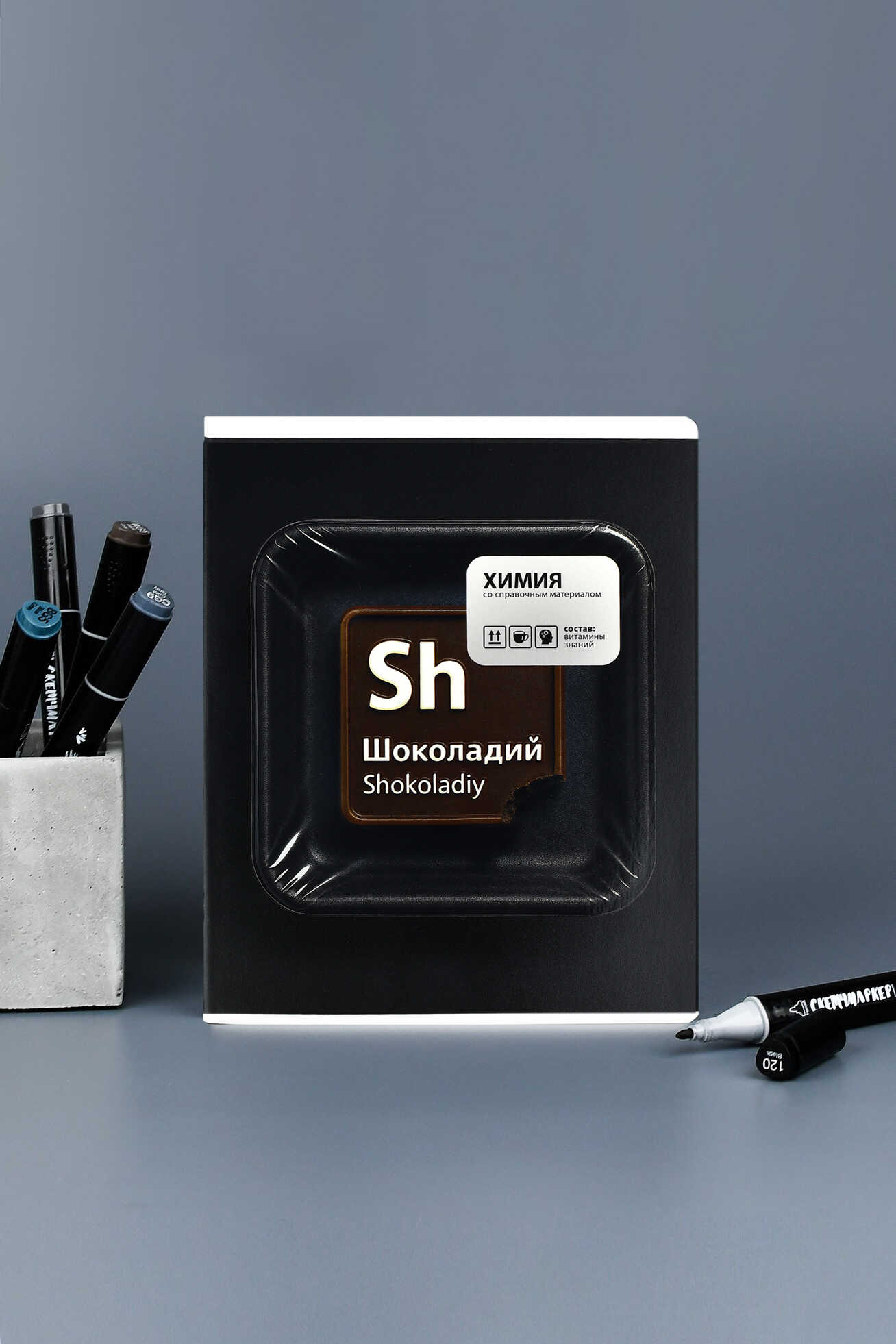 Тетрадь Феникс + 48 лист. 15 шт. (Литература, Русский язык, Обществознание) - фото 4