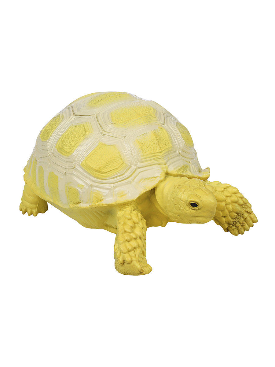 Игровой набор Masai Mara Египетская черепаха - фото 3