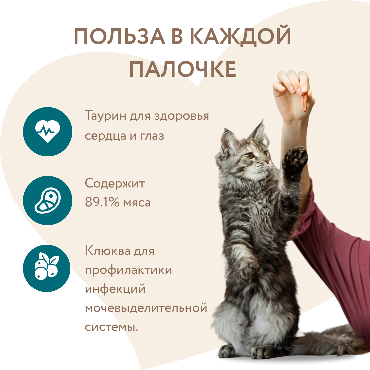 Лакомство для кошек Мнямс лакомые палочки для стерилизованных из индейки и цыпленка 10*5г - фото 3