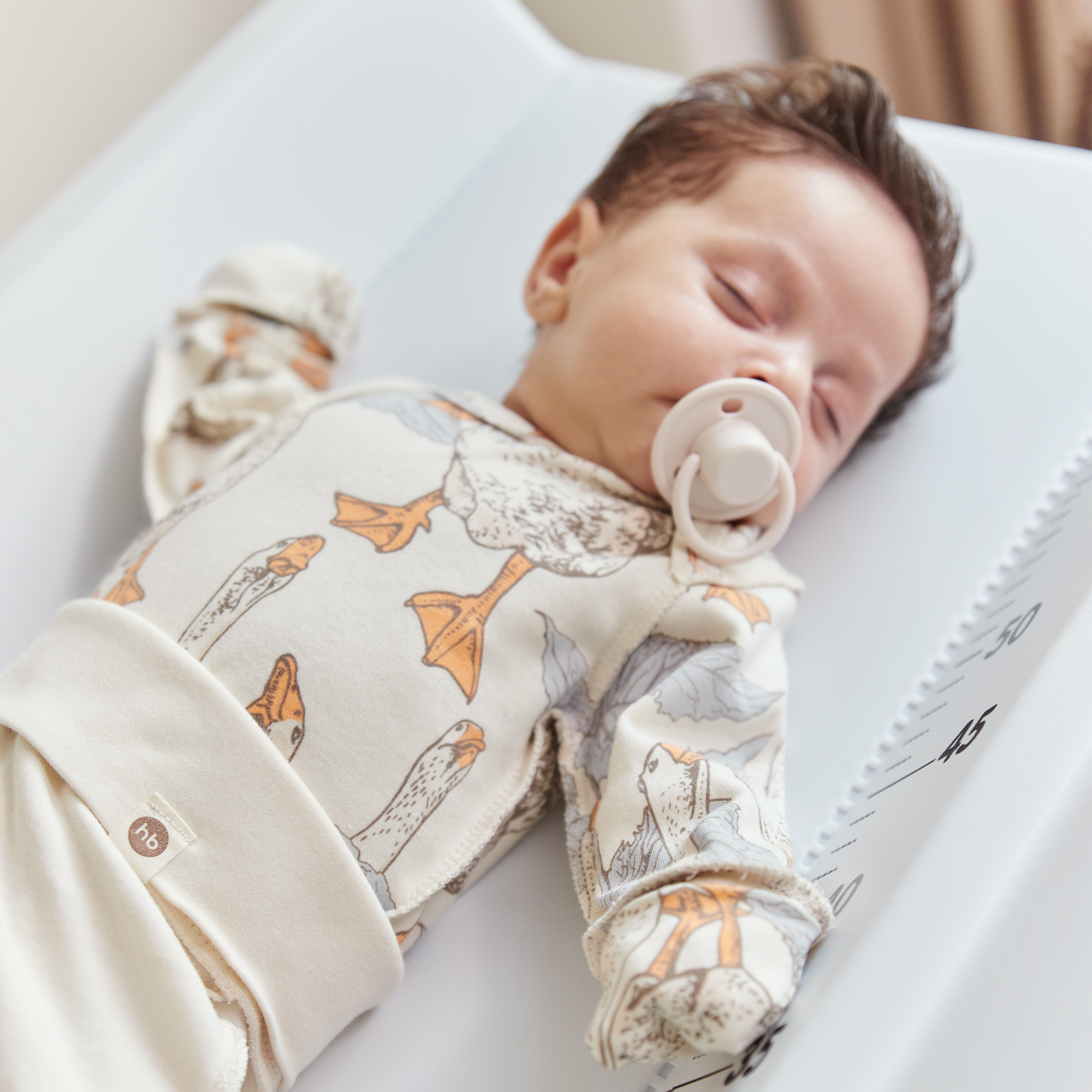 Пустышка Happy Baby латекс классическая от 0 мес. 1 шт. - фото 4