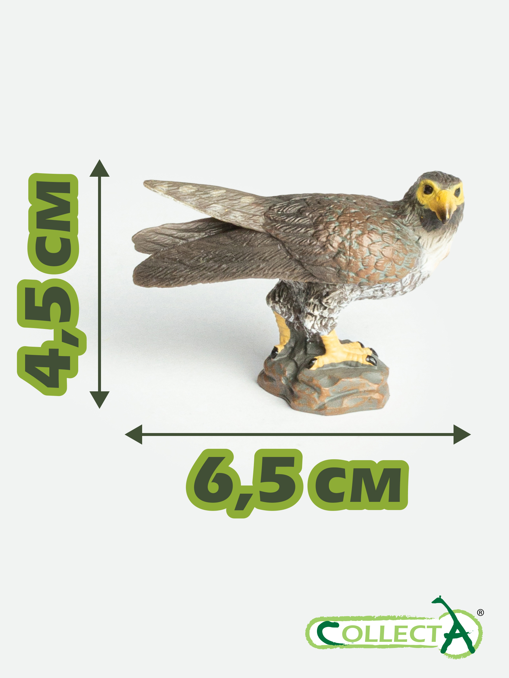 Фигурка Collecta Сокол 4.5 см - фото 2