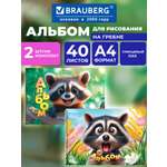 Альбом Brauberg енотик А4 40 лист. 2 шт.