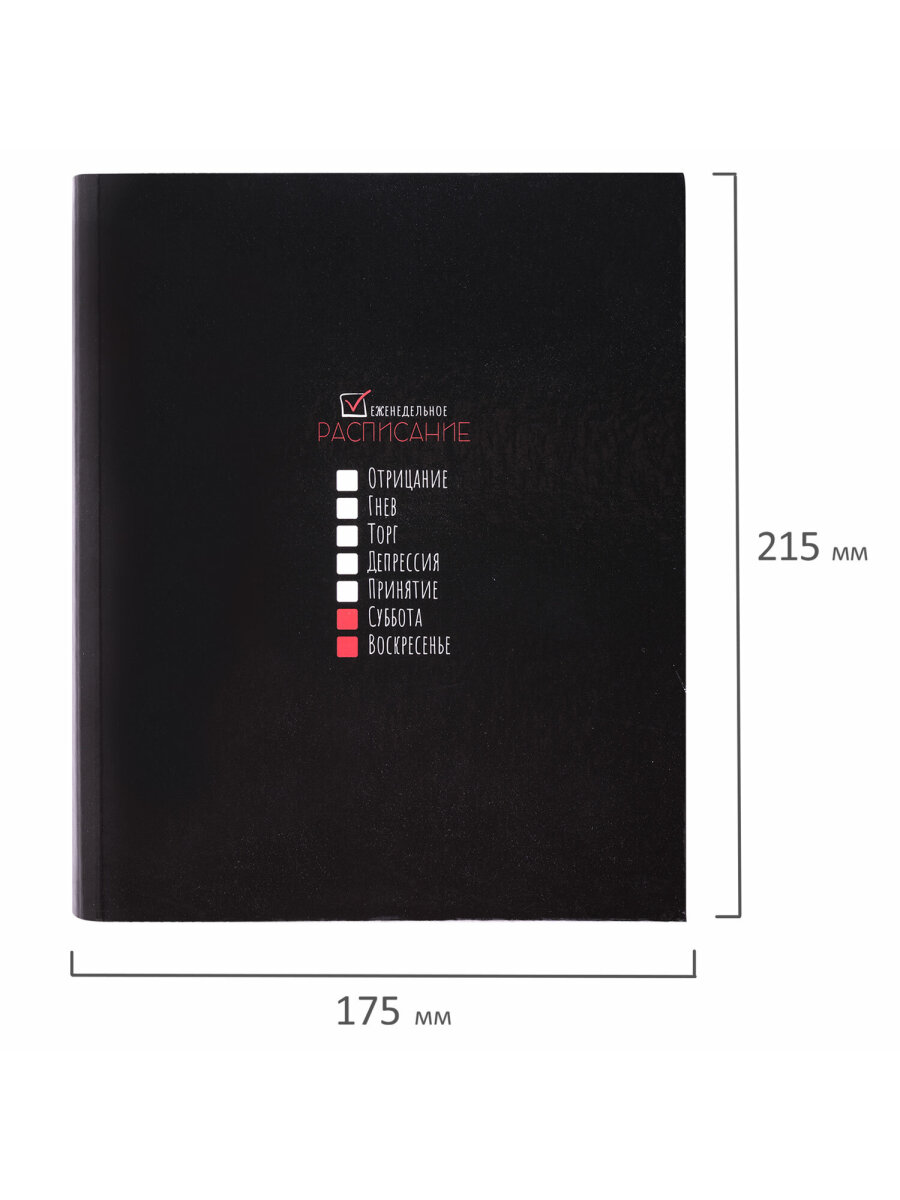 Тетрадь со сменным блоком Brauberg клетка 120 лист. - фото 5