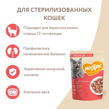 Корм для кошек Мнямс 85г с лососем для стерилизованных кусочки в соусе пауч