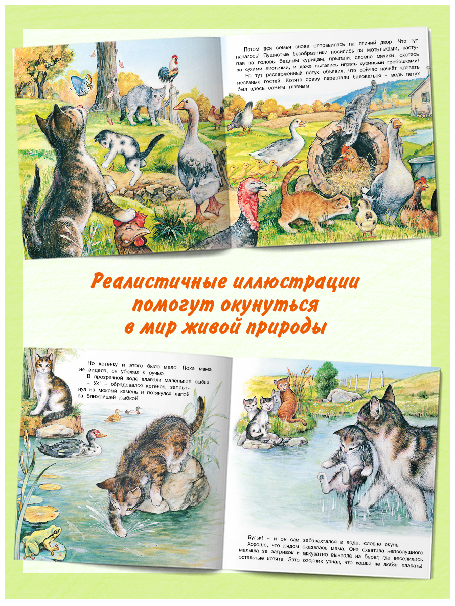 Комплект книг Фламинго Сказки для детей Рассказы о животных Приключения Котенка Волчонка Зайчонка Жеребенка - фото 3