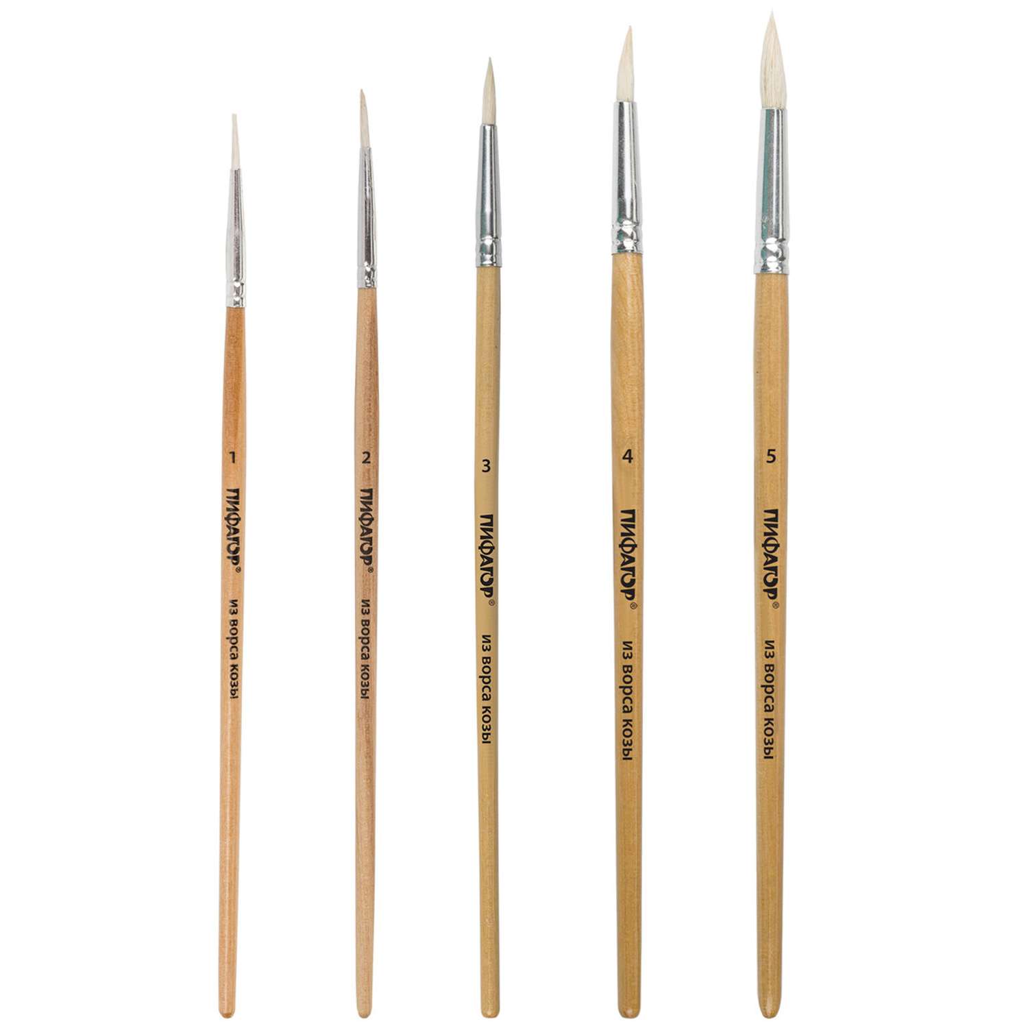 Кисть Пифагор 5 шт. (коза) - фото 2