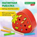 Игрушка Brauberg сортер Монтессори