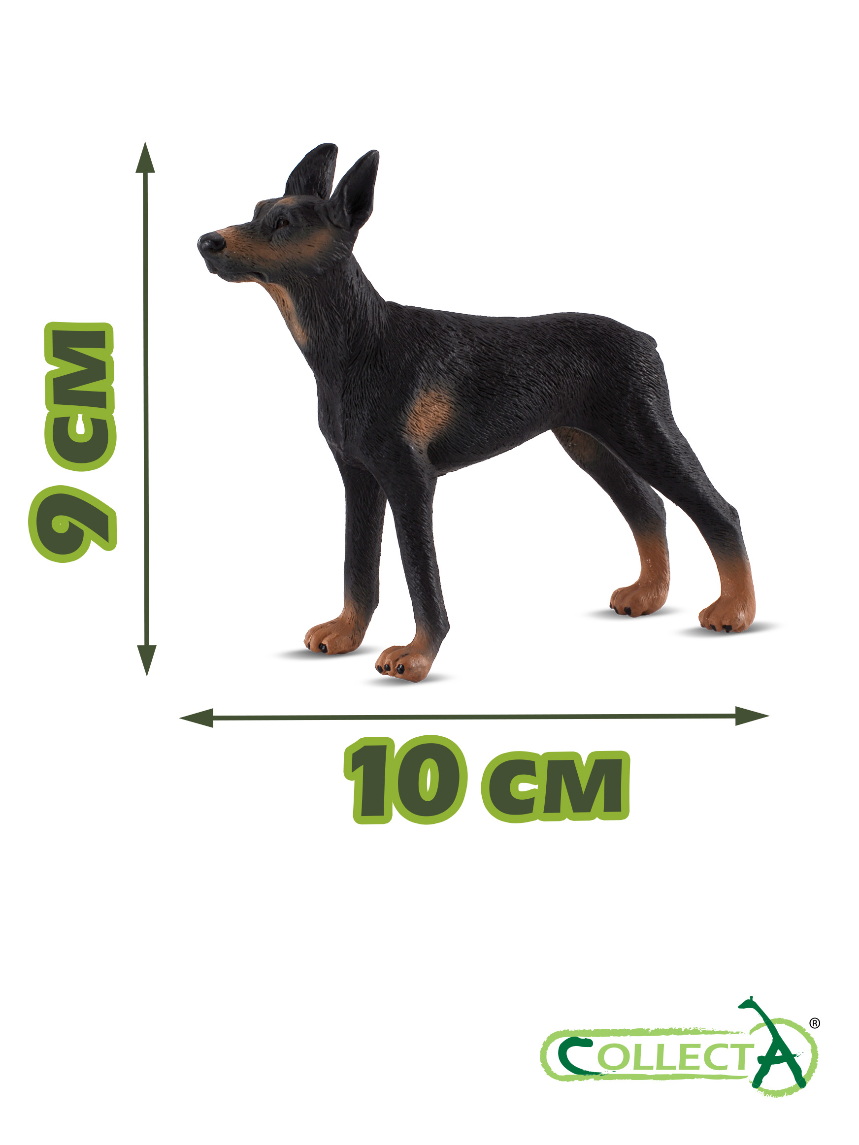Фигурка Collecta Доберман-пинчер - фото 2