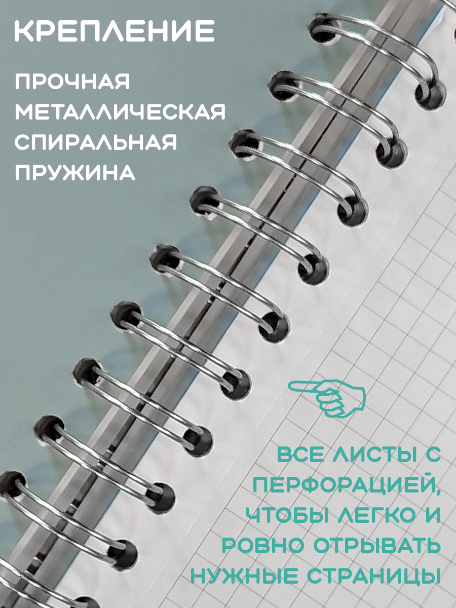 Общая тетрадь KEYROAD клетка 96 лист. - фото 3