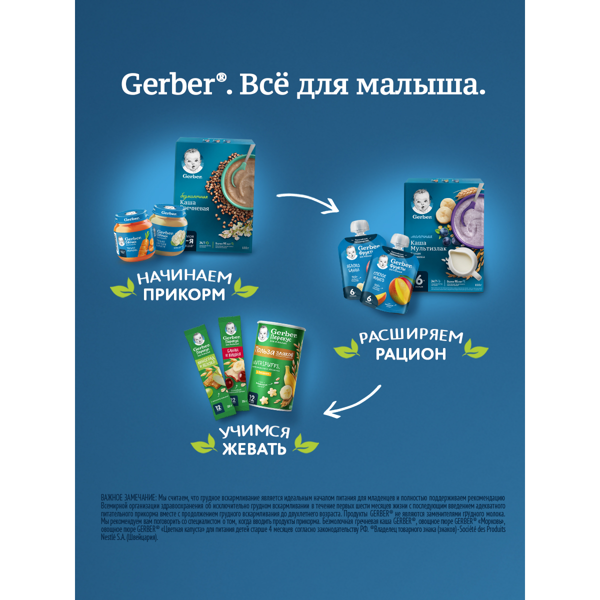 Каша Gerber безмолочная гречка сухая 200г с 4 месяцев - фото 6