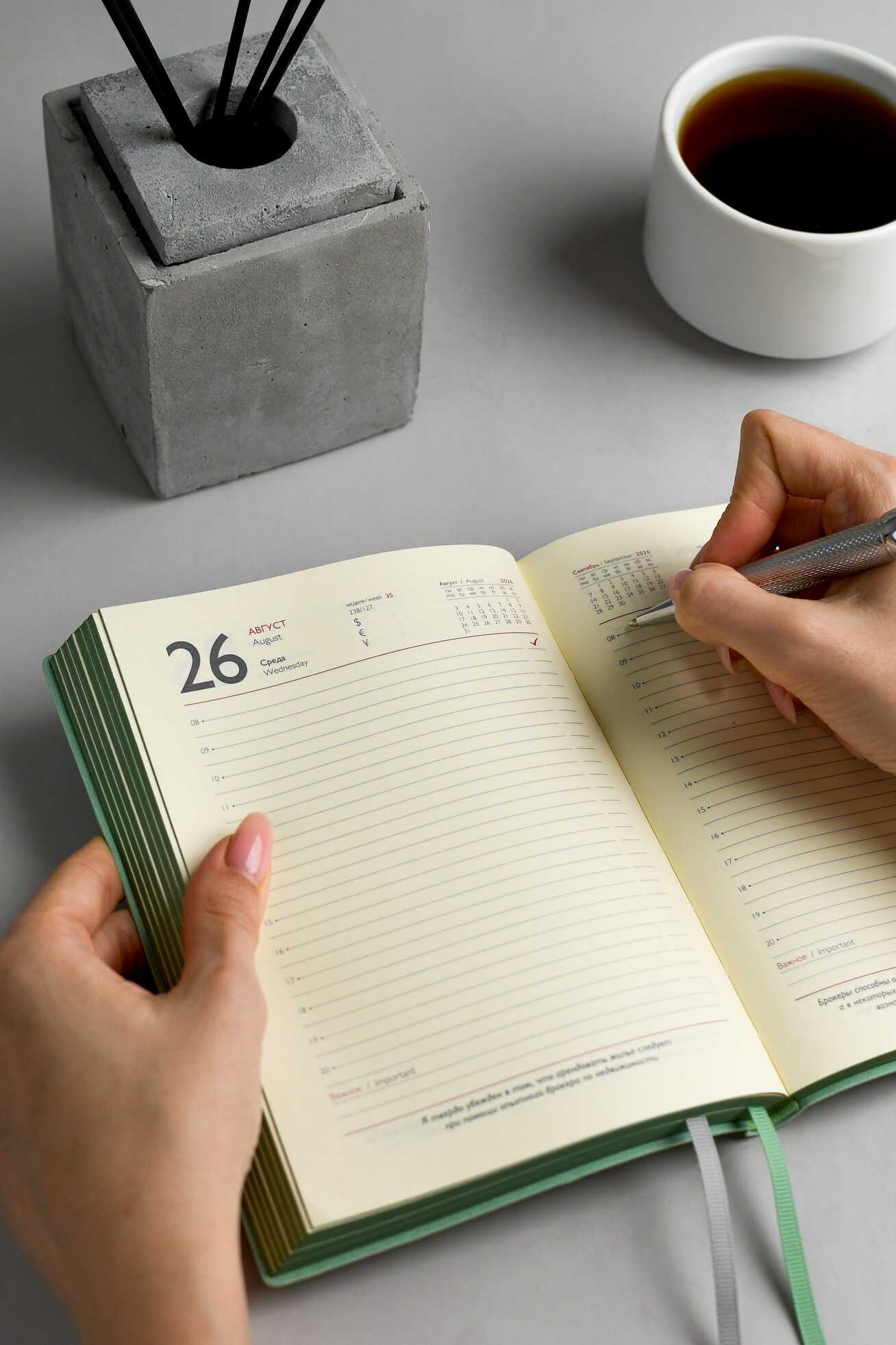 Ежедневник Феникс + ESCALADA 176 лист. - фото 21