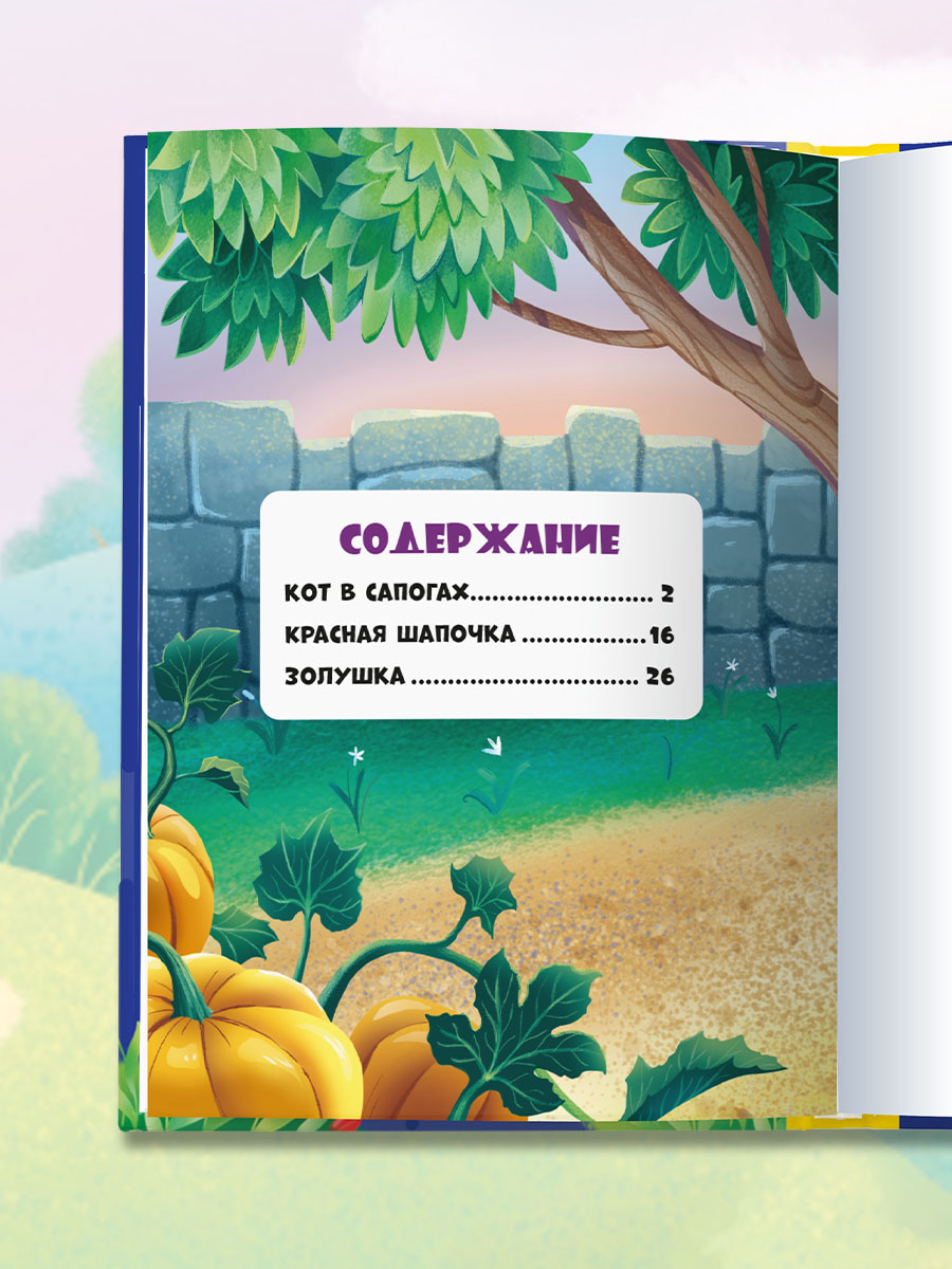 Книга Проф-Пресс Лучшие сказки Шарля Перро. А5. 48 стр. - фото 5