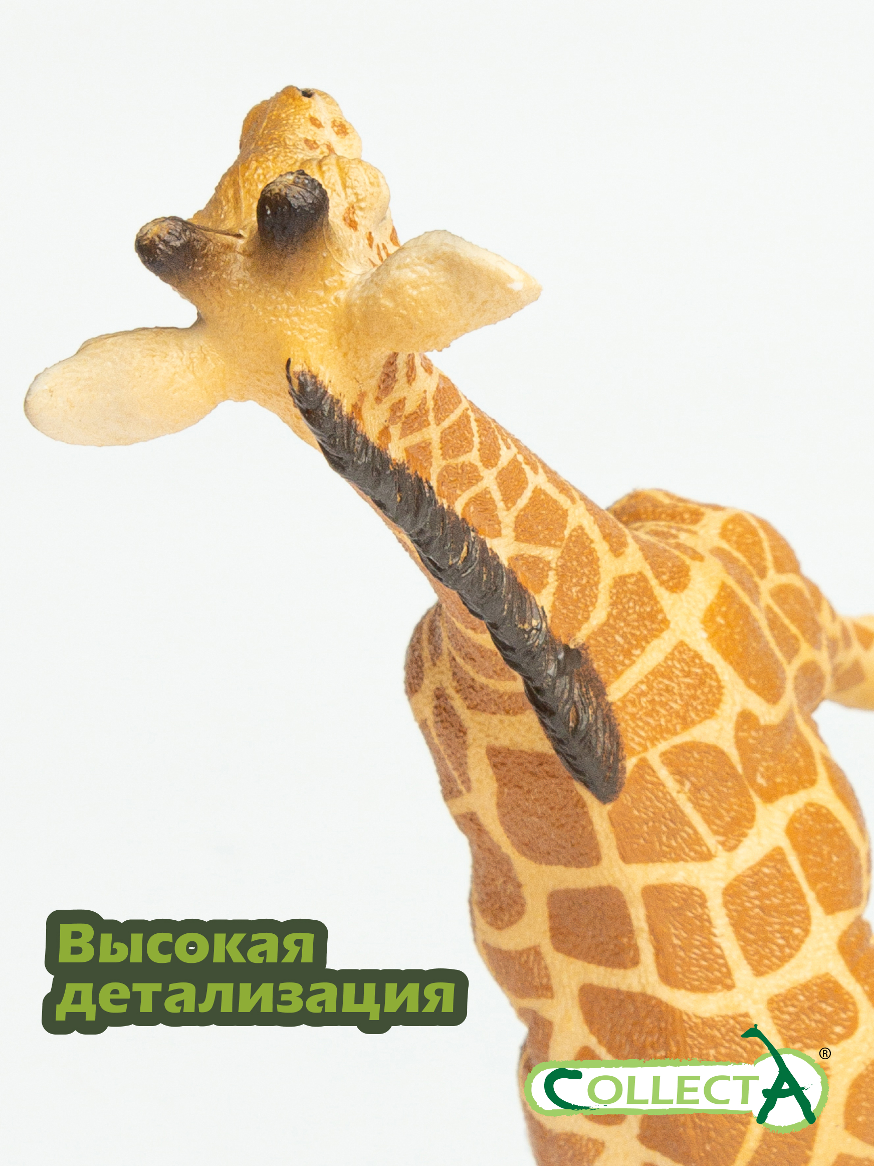 Фигурка Collecta Жеребенок Сетчатого Жирафа - фото 3