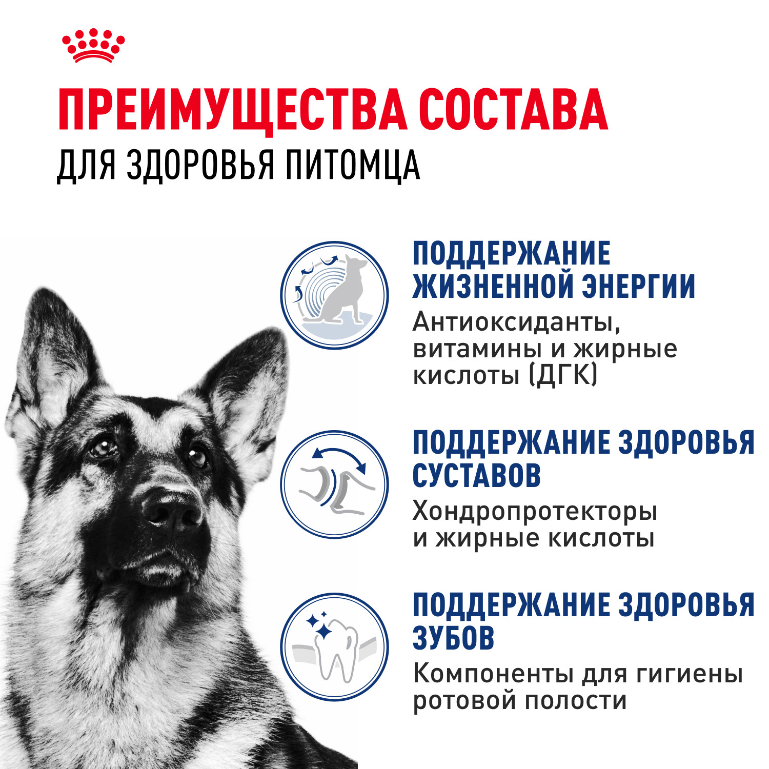 Корм для собак ROYAL CANIN крупных пород от 5 лет 15кг - фото 3