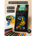 Карандаши цветные SCHOOLFORMAT 12 шт.