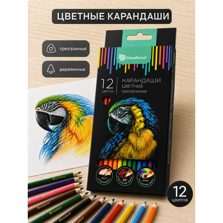 Карандаши цветные SCHOOLFORMAT 12 шт.