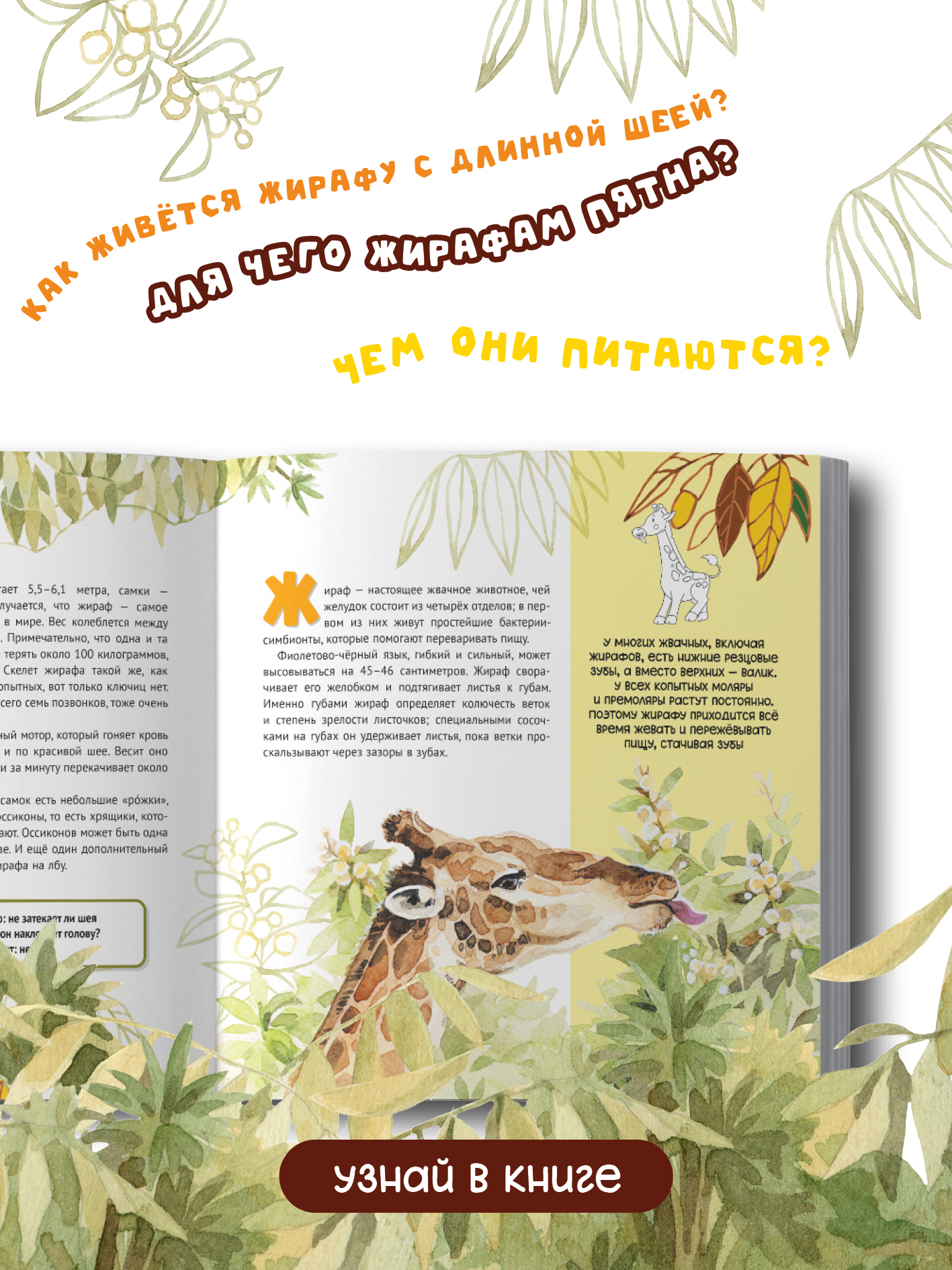 Книга Бумба Изысканный жираф - фото 4