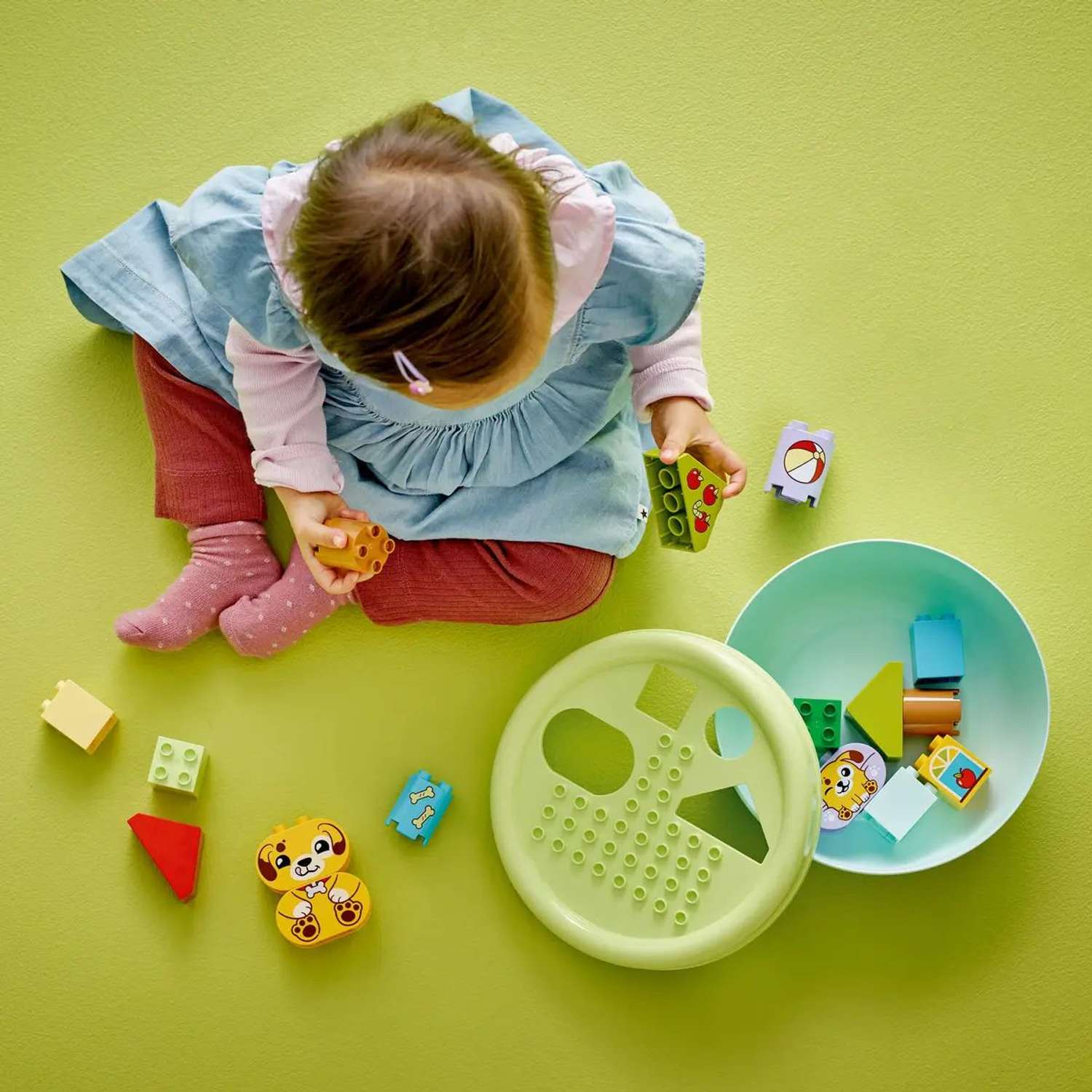 Конструктор LEGO DUPLO Сортер: домик для щенков блочный - фото 9