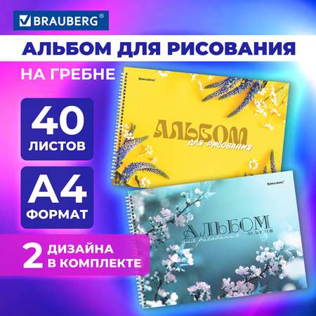 Альбом Brauberg А4 40 лист. 2 шт.