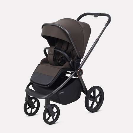 Коляска прогулочная Rant Flex Color коричневый