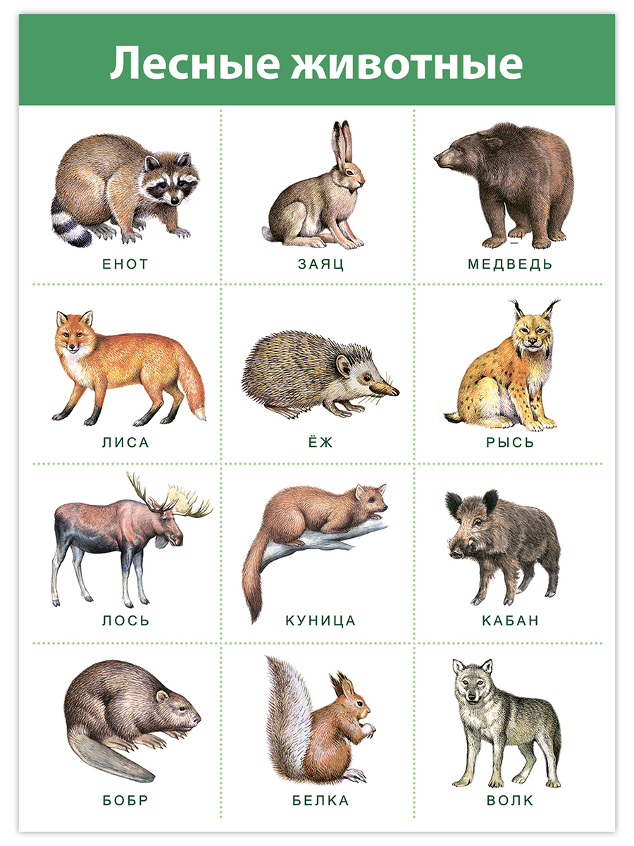 Настольная игра Дрофа-Медиа - фото 8