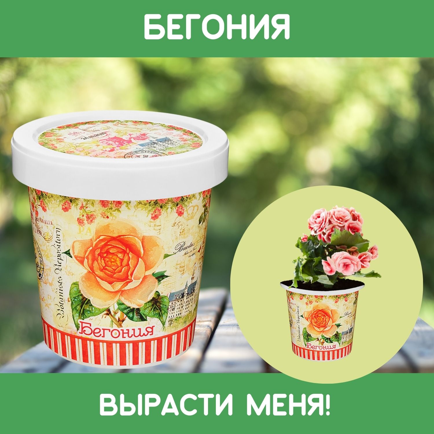 Набор для выращивания Rostok Visa - фото 1