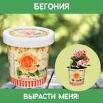 Набор для выращивания Rostok Visa