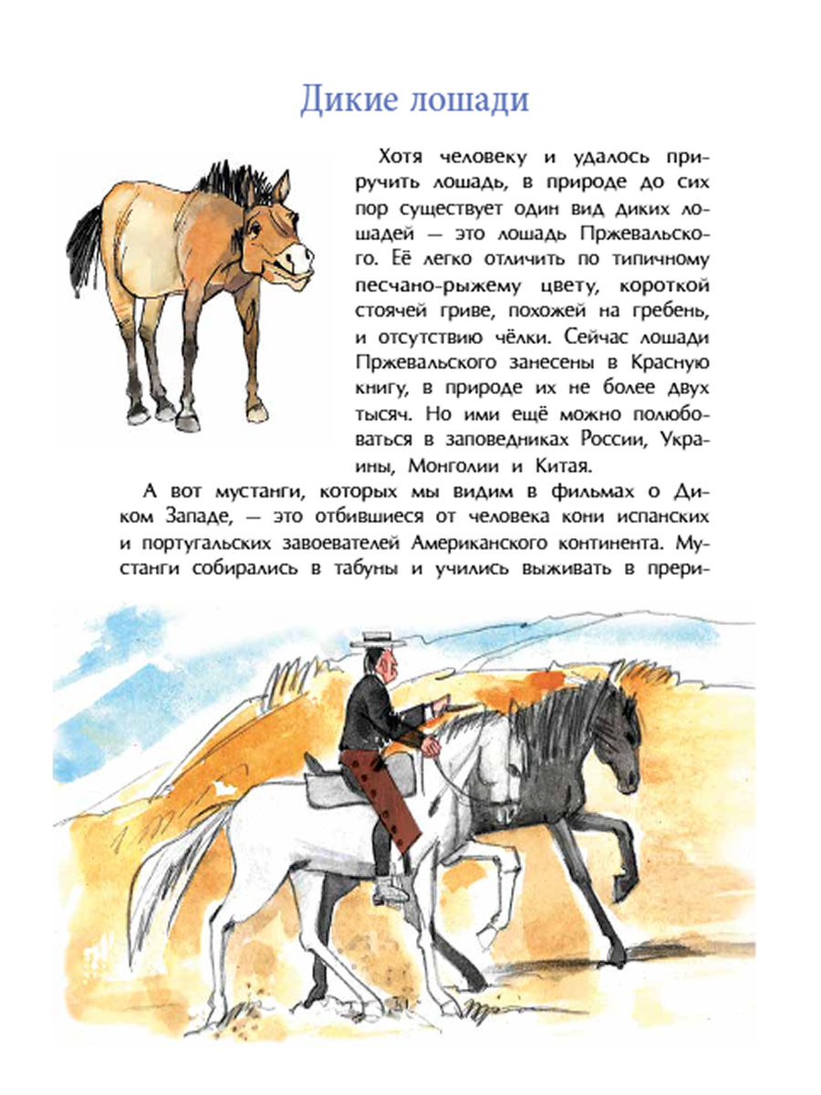 Книги для детей Настя и Никита развитие детей - фото 5