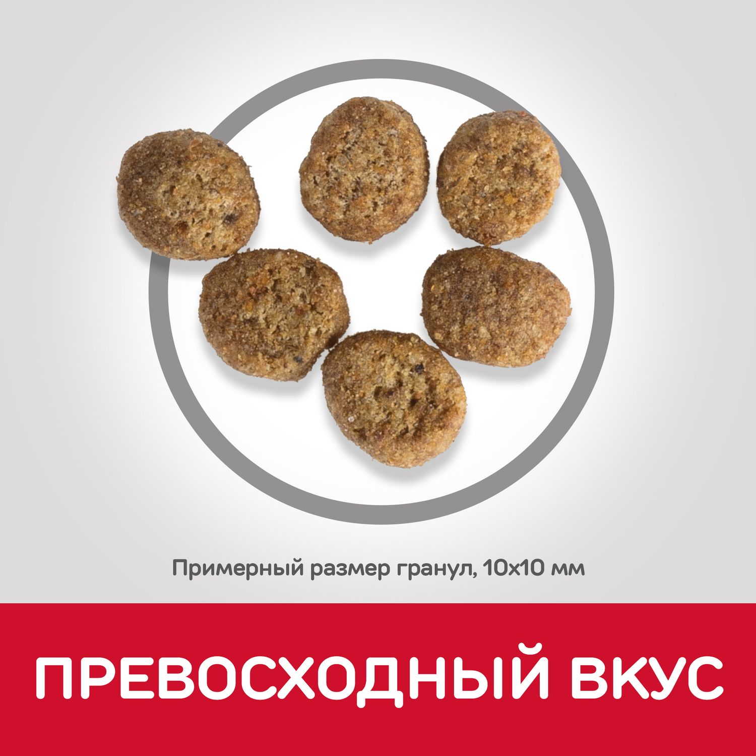 Корм сухой HILLS 300г для котят Science Plan с курицей - фото 7