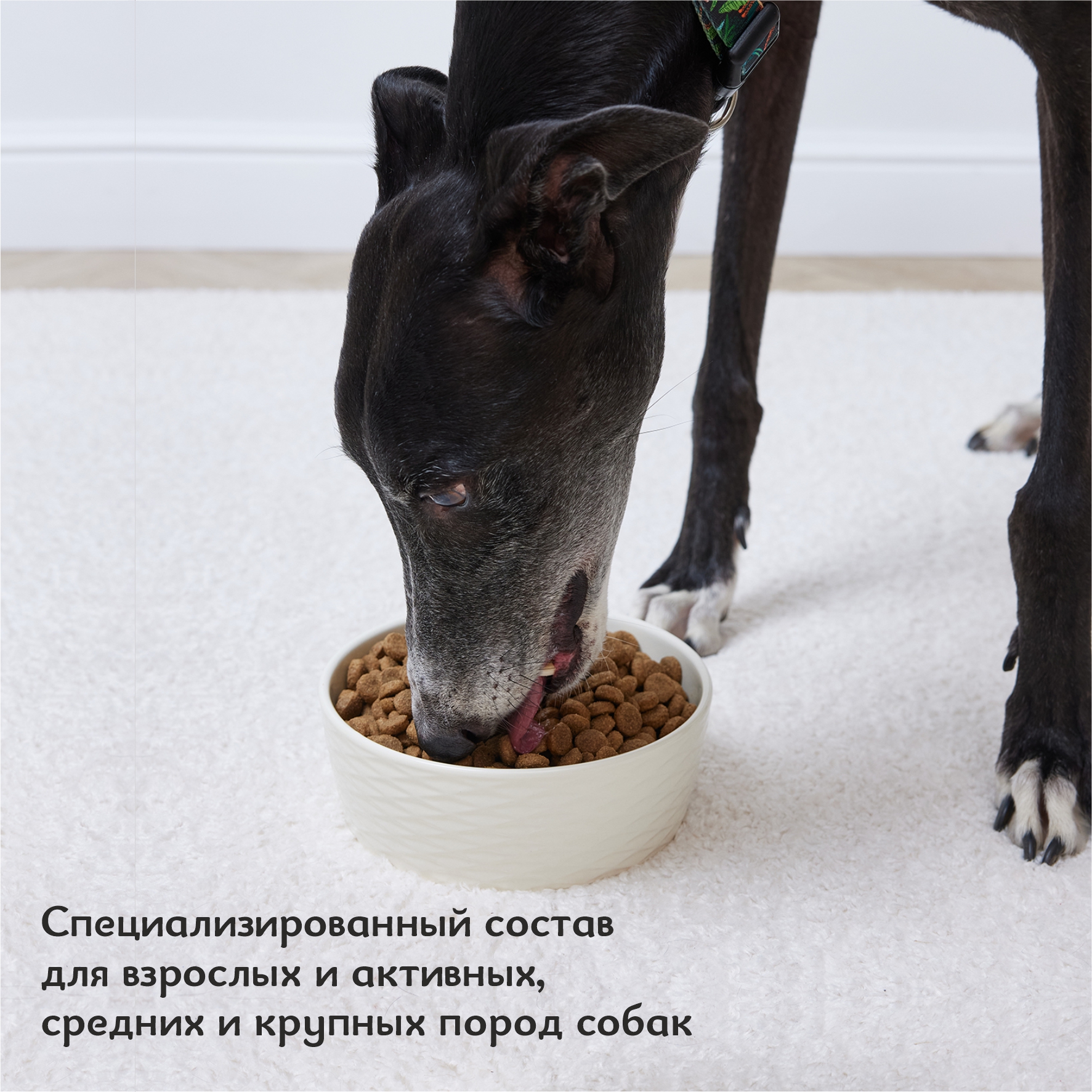 Корм для собак Roybis 15кг с ягненком для взрослых активных средних и крупных пород - фото 4