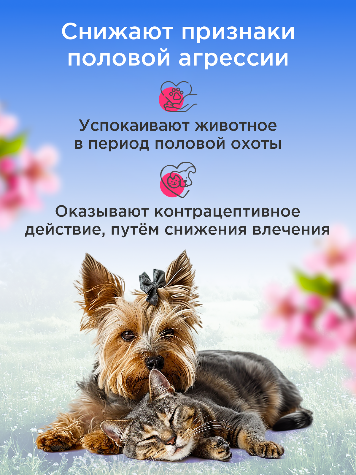 Капли АНТИСЕКС для кошек и собак GOODR Dog&Cat 50мл - фото 2