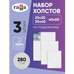 Набор холстов Гаммa на подрамнике 3 шт