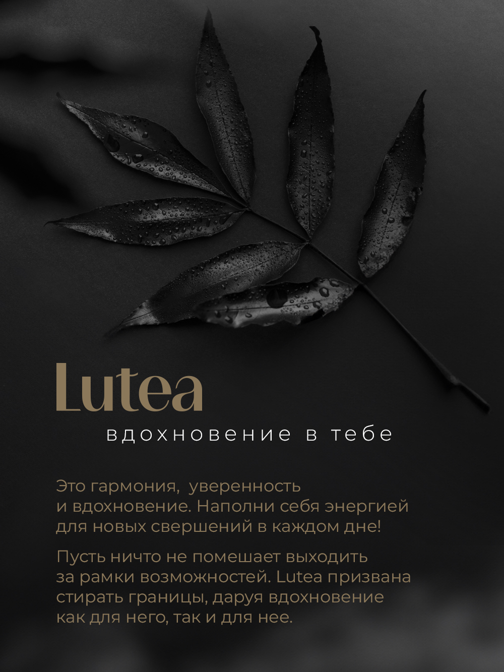 Гель KIPNI Lutea 750 мл 2 шт. - фото 18