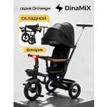 Трехколесный велосипед DinaMiX 10 дюймов