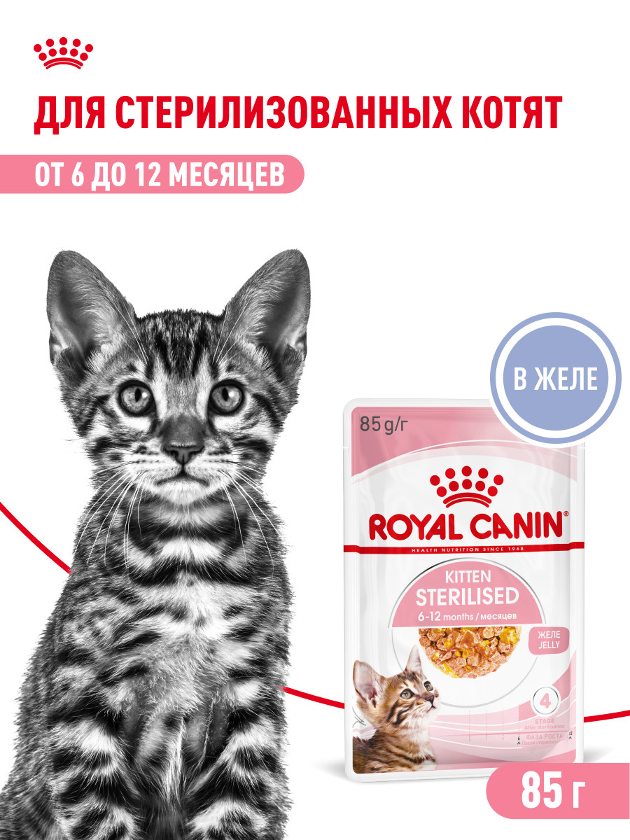 Корм для котят Royal Canin 85г Kitten Sterilised желе для стерилизованных котят пауч - фото 1