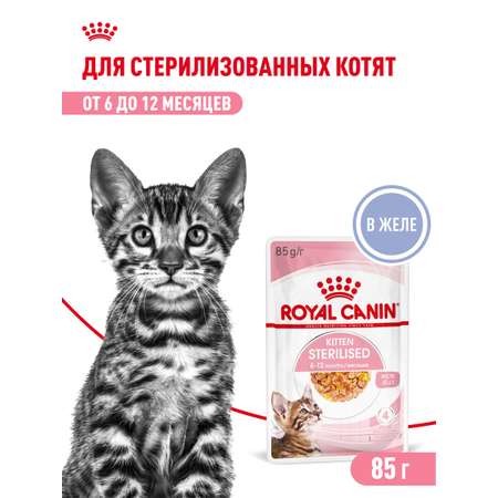 Корм для котят Royal Canin 85г Kitten Sterilised желе для стерилизованных котят пауч