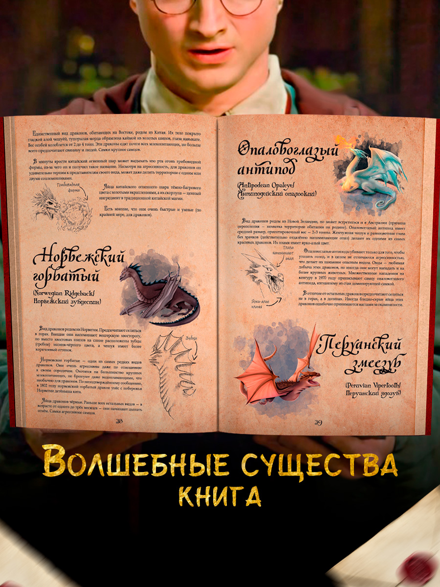 Книга True Books Space Волшебные существа по вселенной Гарри Поттера - фото 2