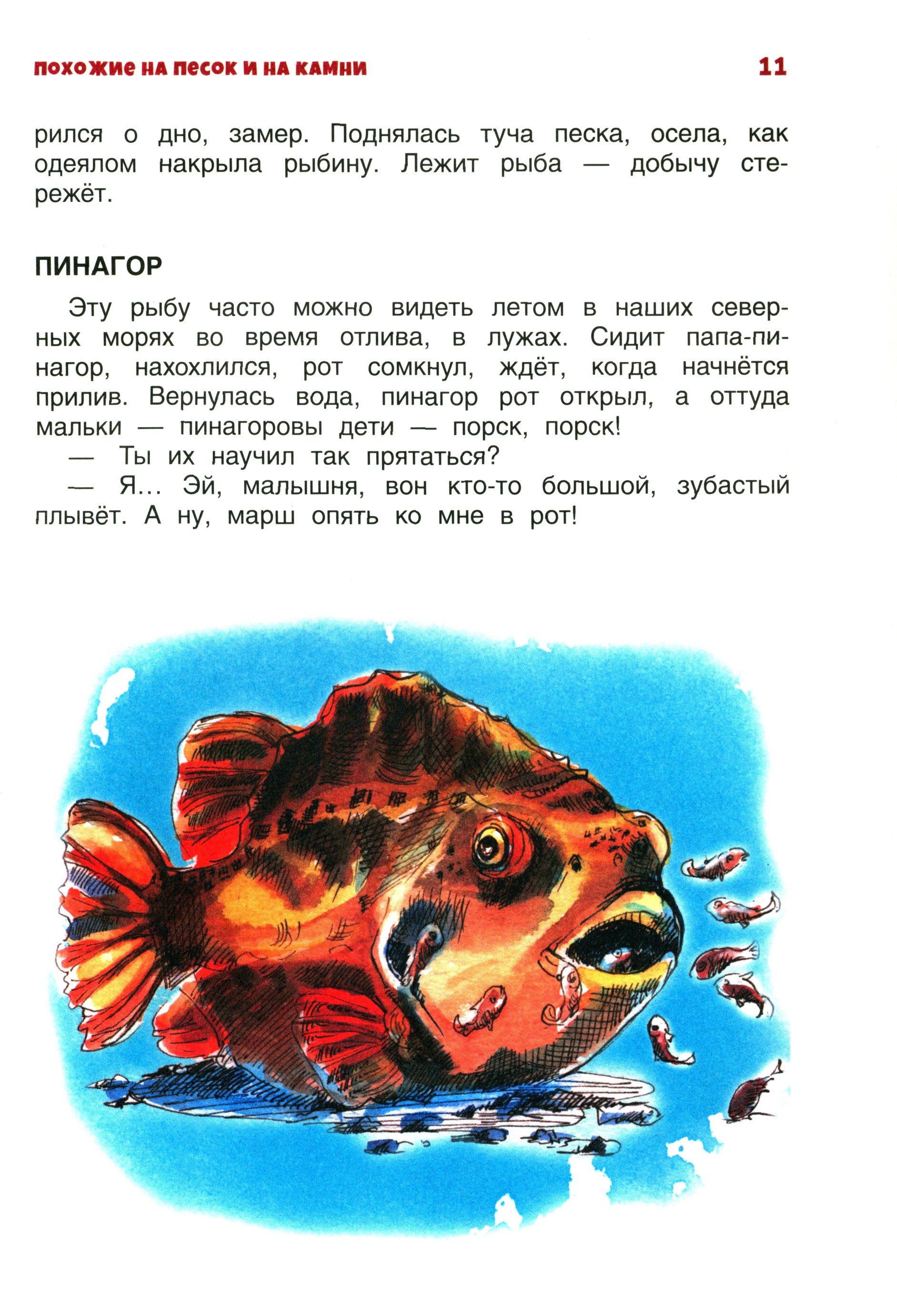 Книга Качели В мире дельфина и осьминога - фото 7