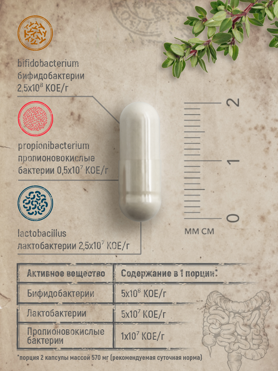 БАД MedCraft Пробиотики для кишечника взрослому: пребиотик метабиотик - фото 4