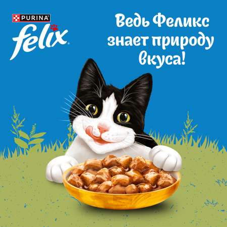 Корм для кошек Felix 75г для взрослых с курицей в соусе