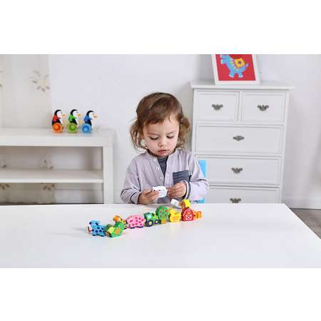 Игрушка Tooky Toy шнуровка