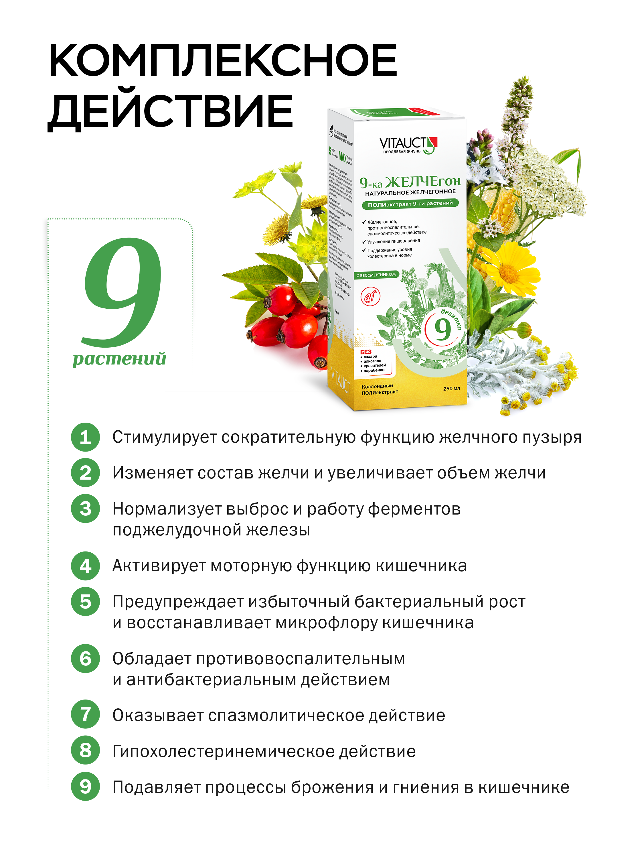 БАД VITAUCT 9-ка ЖЕЛЧЕгон - фото 4