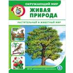 Книга Школьная Книга Окружающий мир. Живая природа. Растительный и животный мир.