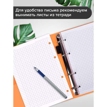 Тетрадь со сменным блоком Brauberg клетка 120 лист.